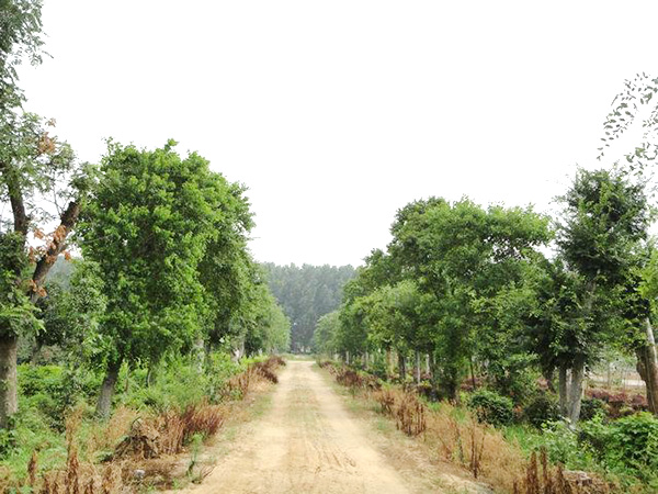 實(shí)景展示35